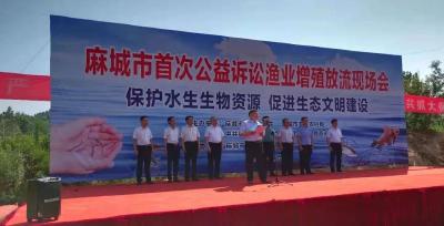 麻城市开展首次公益诉讼渔业增殖放流活动