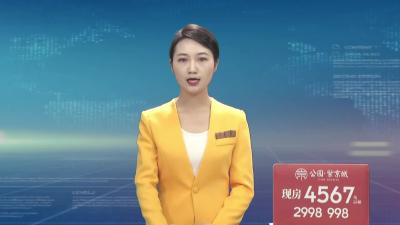 百年初心路  最美张家畈