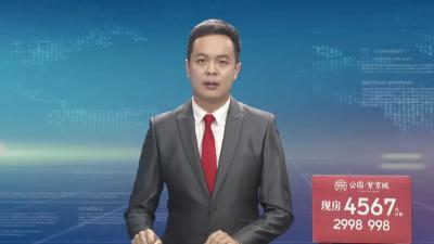 群建村：乡村振兴 八方支援 好运“莲莲”.mp4
