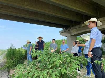 专家把脉  助力我市公路桥梁消危行动