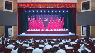 中共麻城市委八届十五次全体会议举行