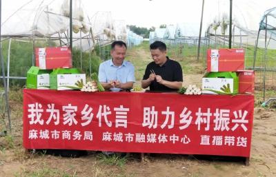 “我为家乡代言 助力乡村振兴”第七期直播带货活动走进鸿发芦笋专业合作社