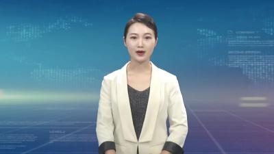 全市市乡人大换届选举工作有序推进