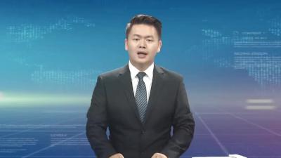 黄冈市疫情防控指挥部视频调度会召开
