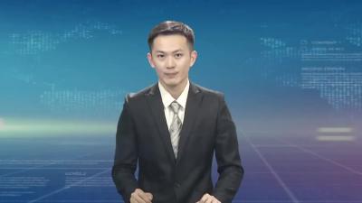 黄冈市疫情防控视频调度会强调：坚持问题导向 目标导向 效果导向 切实改进工作 在战争中学会战争 坚决打赢疫情防控保卫战.mp4