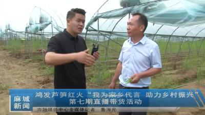 “我为家乡代言 助力乡村振兴”第七期直播带货活动走进鸿发芦笋专业合作社