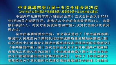 中共麻城市委八届十五次全体会议决议