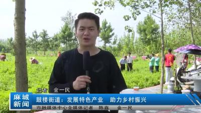 鼓楼街道：发展特色产业  助力乡村振兴