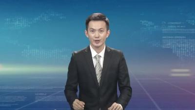 市政府精心筹备第十届菊花节开幕式各项工作