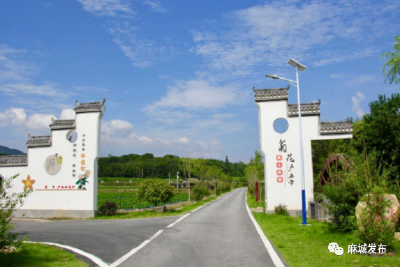 黄土岗镇建“四好农村道路”发展镇域交通
