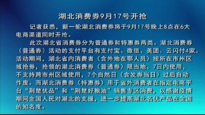 湖北消费券9月17号开抢