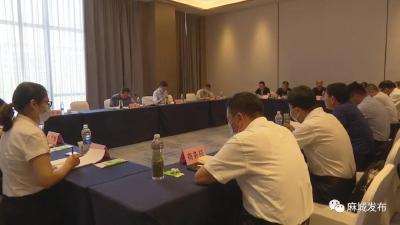 省统计局专家调研麻城统计工作