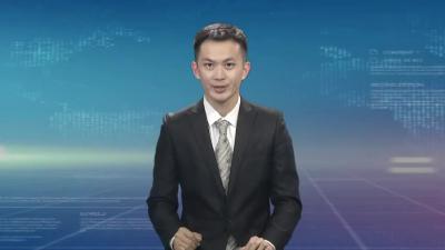 油茶低改变废为宝 荒山绿了 群众富了