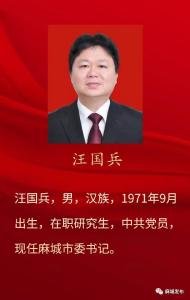 【聚焦党代会】重磅！麻城市新当选市委书记、副书记、常委名单