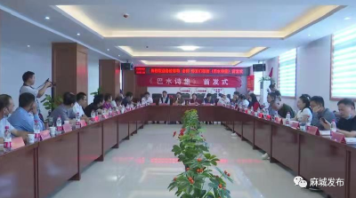 《巴水诗集》公开发布