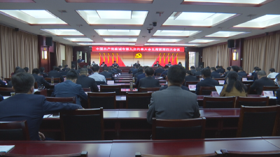 【聚焦党代会】中国共产党麻城市第九次代表大会主席团举行第四次会议