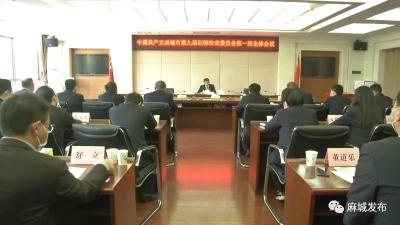 【聚焦党代会】麻城市纪委九届一次全体会议召开