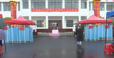  严家畈村村委会换届选举顺利完成 全市村（社区）“两委”换届工作稳步推进