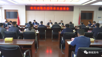 汪国兵主持召开座谈会征集市第九次党代会报告意见