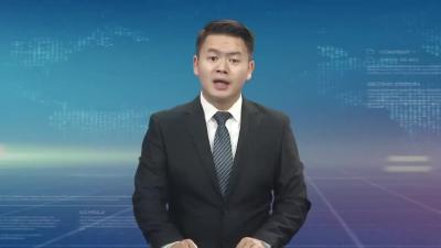 中共麻城市委八届十七次全体会议召开