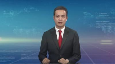 裴永波参加各代表组分组讨论