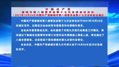 中国共产党麻城市第八届委员会第十七次全体会议决议
