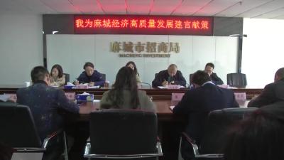 市招商和投资促进中心干部为麻城经济高质量发展建言献策