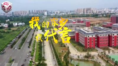 菊花企业各显身手 产品推介好戏连台