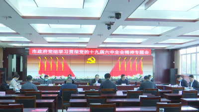 市政府党组学习贯彻党的十九届六中全会精神