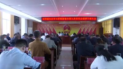 宋埠镇“六个聚焦”争当发展生力军 勇担振兴排头兵