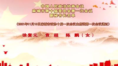【聚焦两会】中国人民政治协商会议麻城市第十届委员会第一次会议副秘书长名单