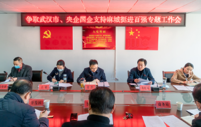 争取武汉市、央企国企支持麻城挺进百强