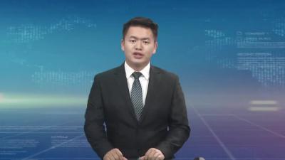 雷文洁来麻城调研文旅产业恢复发展及疫情防控工作