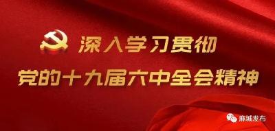 麻城各地各部门深入学习贯彻党的十九届六中全会精神（九）