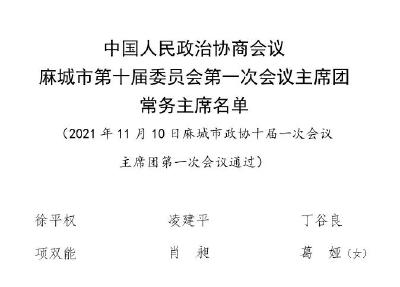 【聚焦两会】政协麻城市第十届委员会第一次会议主席团成员、主席团会议主持人和秘书长名单