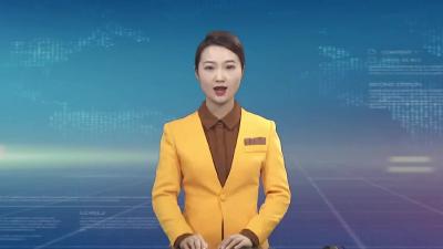 菊香麻城 花开盛世 艳冠华夏