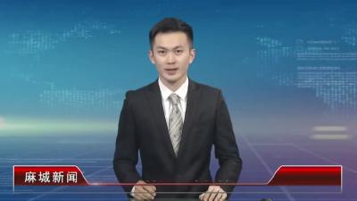 2021年11月23星期二《麻城新闻》