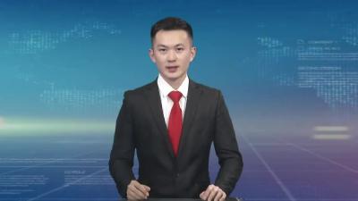全省迎峰度冬能源保供暨能源领域安全生产电视电话会议召开