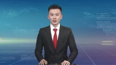 汪国兵参加宋埠镇代表团审议和经济界讨论