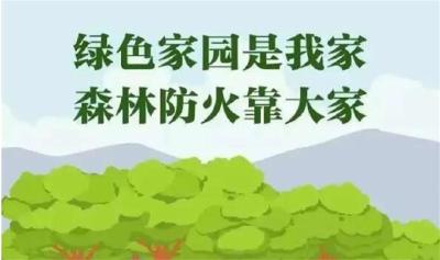 @黄冈人：森林防火非儿戏，这些要点须牢记