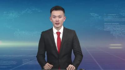 人大代表分团审议政府工作报告以及国民经济和社会发展计划、财政预决算等报告