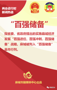麻城“两会”这些新词热语，你get了吗？