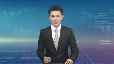 黄冈市冬春农田水利暨林业重点工作电视电话会召开