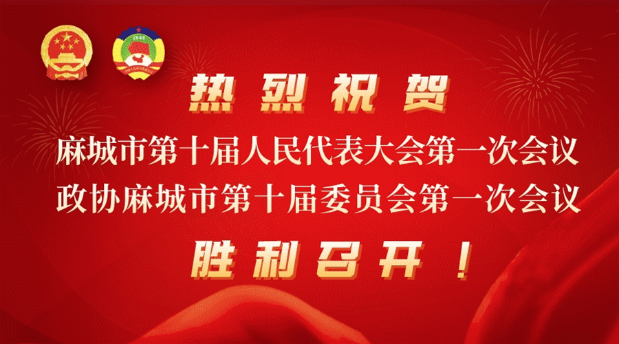 【聚焦两会】市十届人大一次会议举行主席团第四次会议