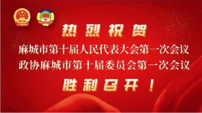 【聚焦两会】市政协十届一次会议主席团常务主席会议第一次会议召开