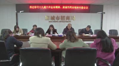 市招商和投资促进中心传达学习党的十九届六中全会精神和市“两会”精神