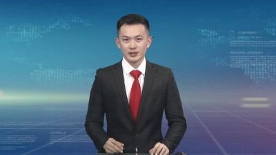 全省巩固拓展脱贫攻坚成果电视电话会议召开