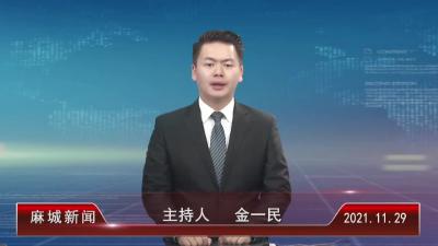 2021年11月29星期一《麻城新闻》