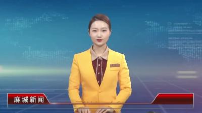2021年11月3星期三《麻城新闻》