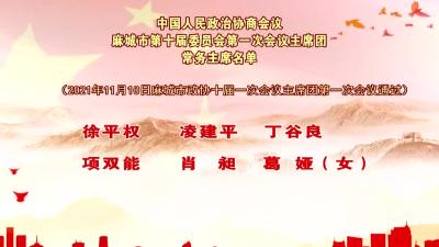 【聚焦两会】中国人民政治协商会议麻城市第十届委员会第一次会议主席团常务主席名单